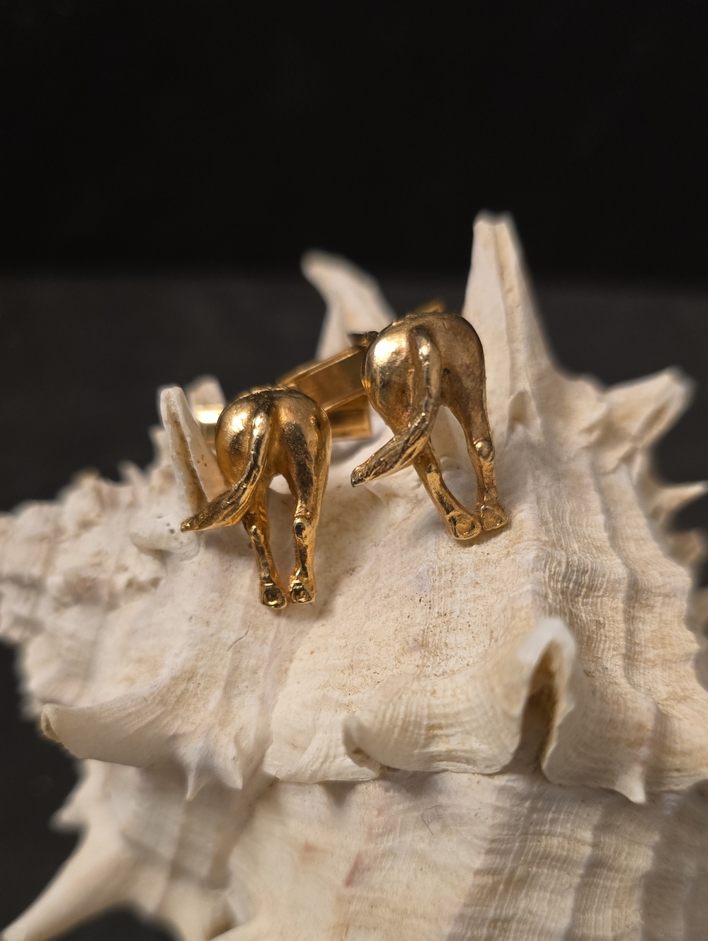 Gildtone Horse Tail/Rear Mens Cufflinks Quirky Funny Equestrian